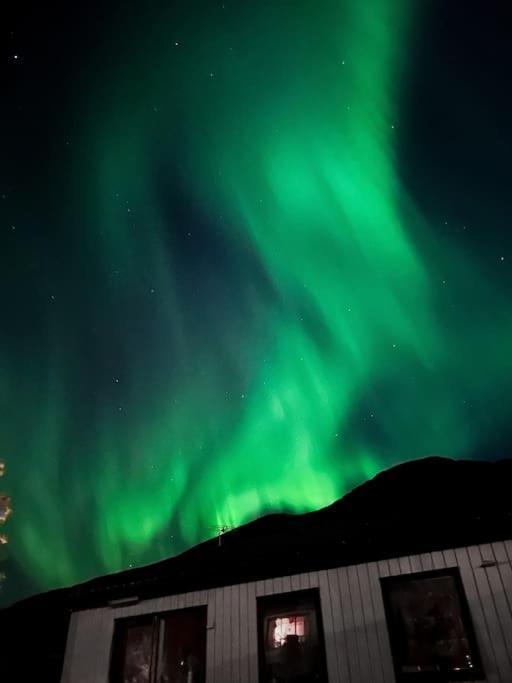 Seyðisfjörður Botnahlid Villa, Mountain And Town Views And Outdoor Sauna מראה חיצוני תמונה